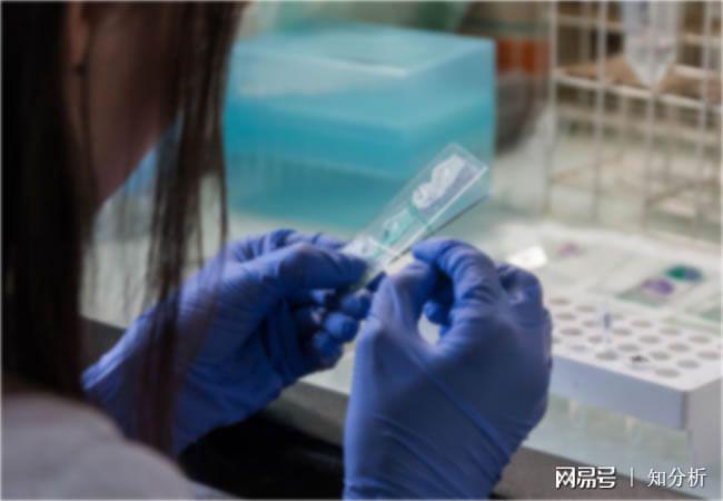 可降解塑料制品材质成分分析检测如何做呢AG九游会(图2)