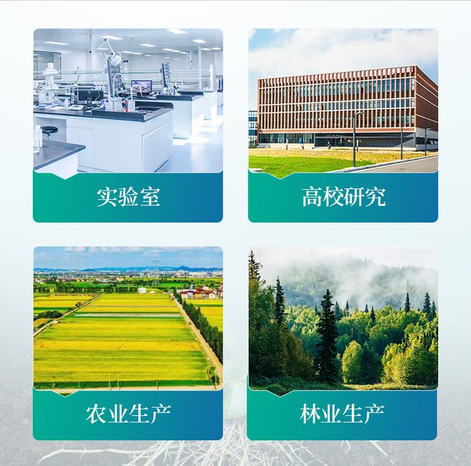 仪器科普｜植物根系分析仪：植物根系多指标分析工具(图3)
